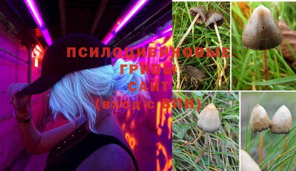 эйфоретик Балахна