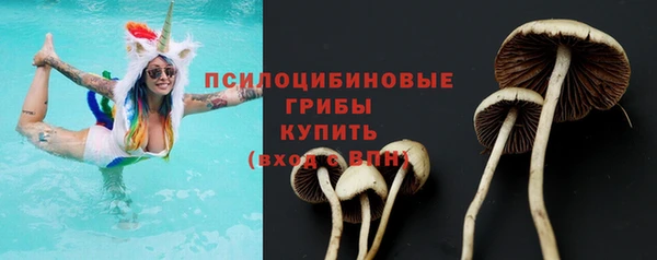 эйфоретик Балахна