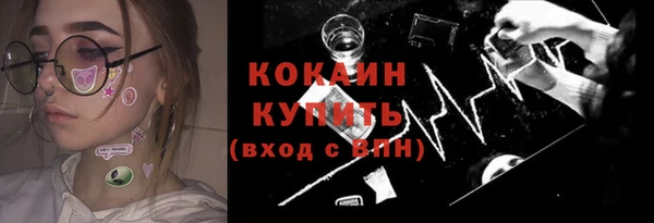 меф Снежинск