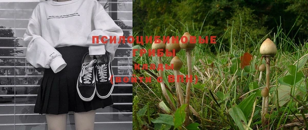 меф Снежинск