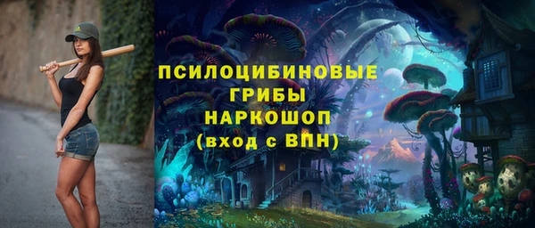 амф Слюдянка