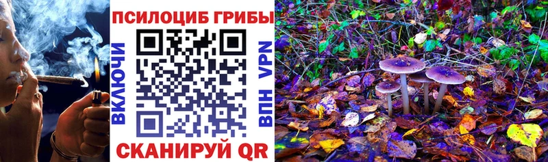 Галлюциногенные грибы Cubensis  Курильск 